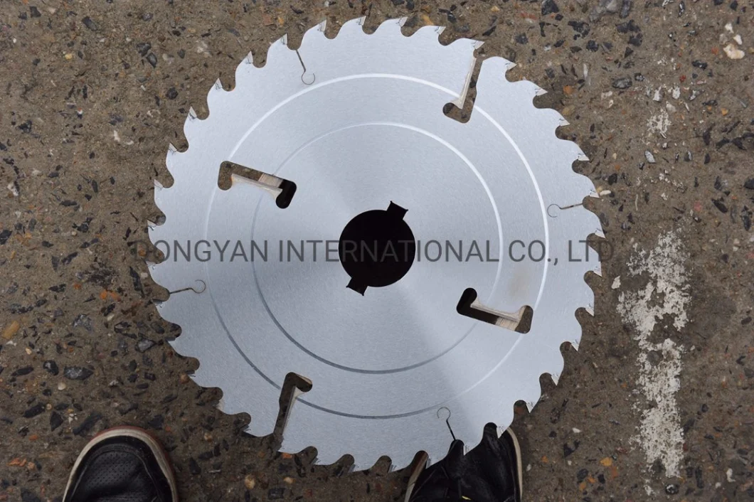 Tct Multi-Ripping Saw Blade with Rakes